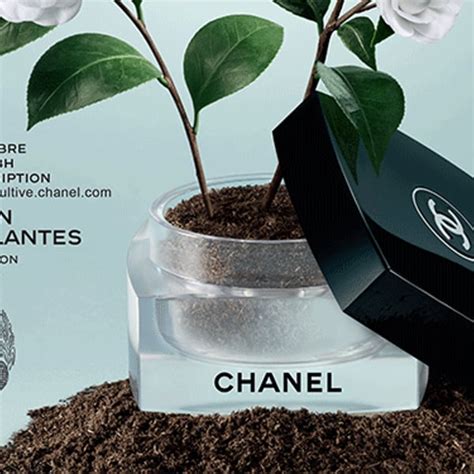 chanel développement durable|chanel canada.